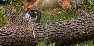 Best Aeration Services  in Mills River, NC